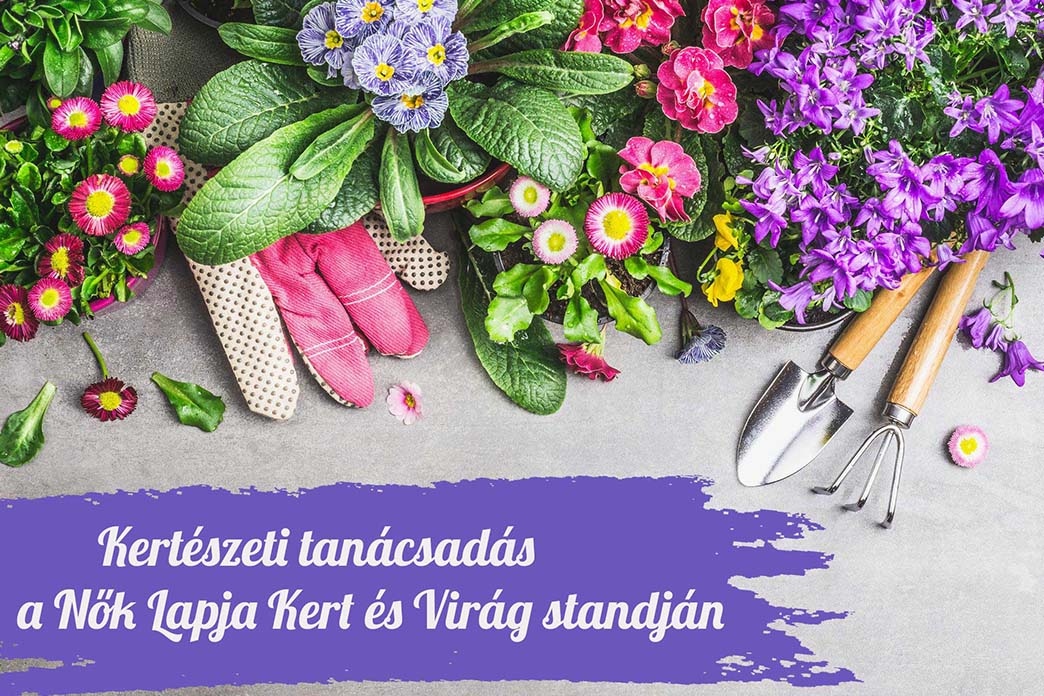 Organizing your garden and plants - Presented by Nők Lapja Kert és Virág