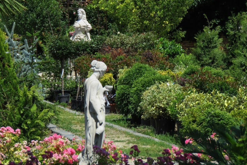 Mediterrán életérzés magyar kertekben – olajfától a tökéletes teraszig