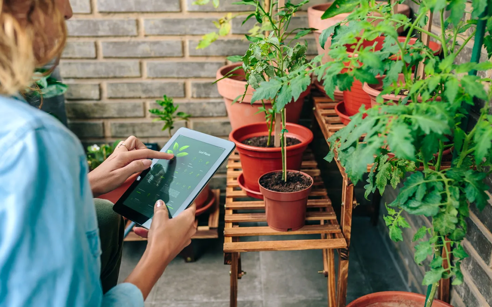 Ezek 2026 legizgalmasabb kertészeti trendjei