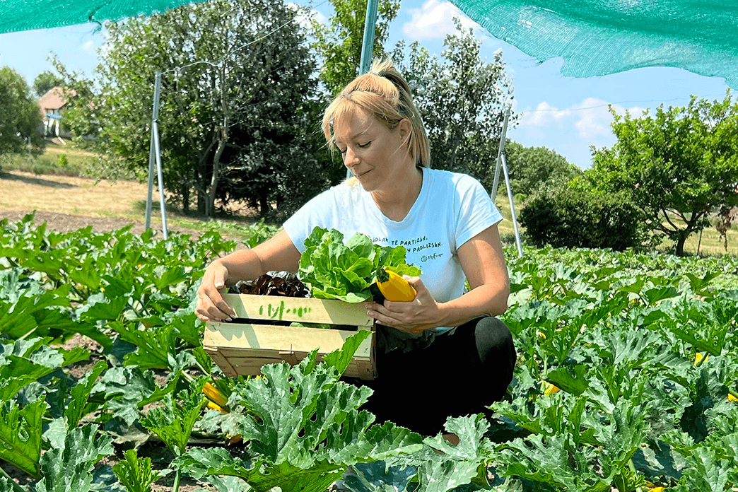 Vegyszermentes MyFarm kerttitkok: növénytársítások és védőnövények a bőséges termésért Hofer Bernadettel