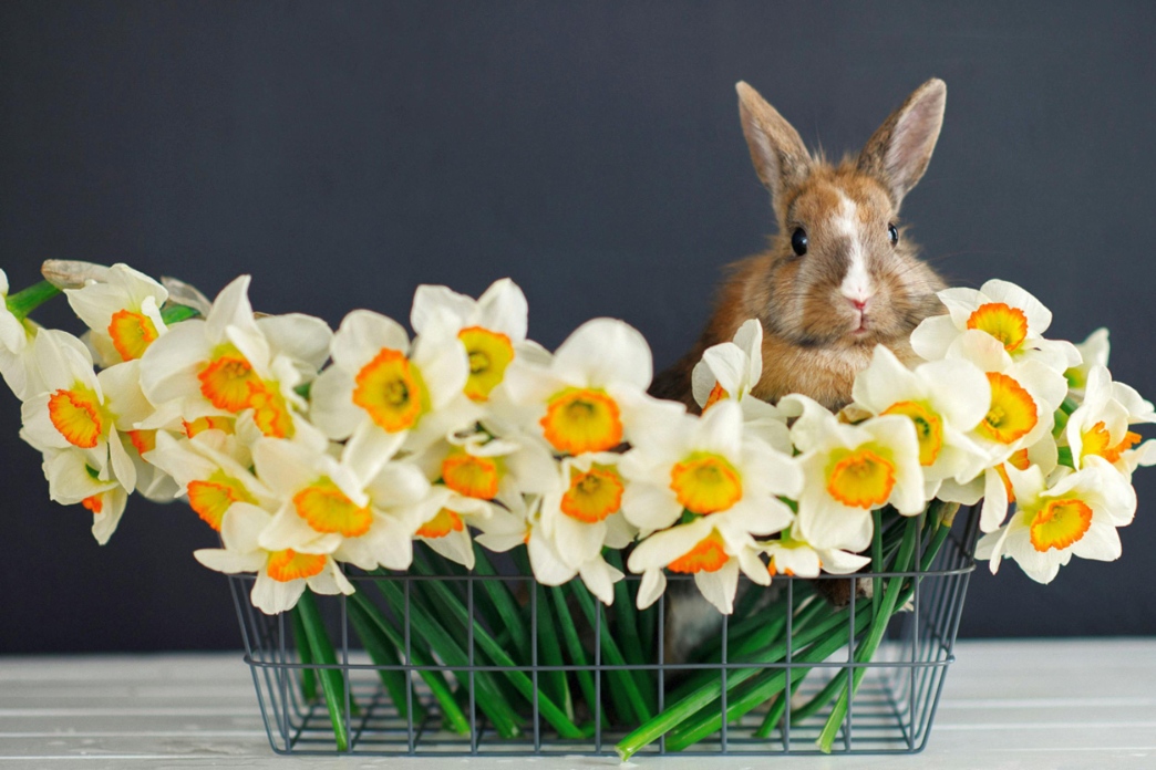 Regisztrálj előzetesen a Florárium Kincsei húsvéti asztaldísz készítési workshopjára!