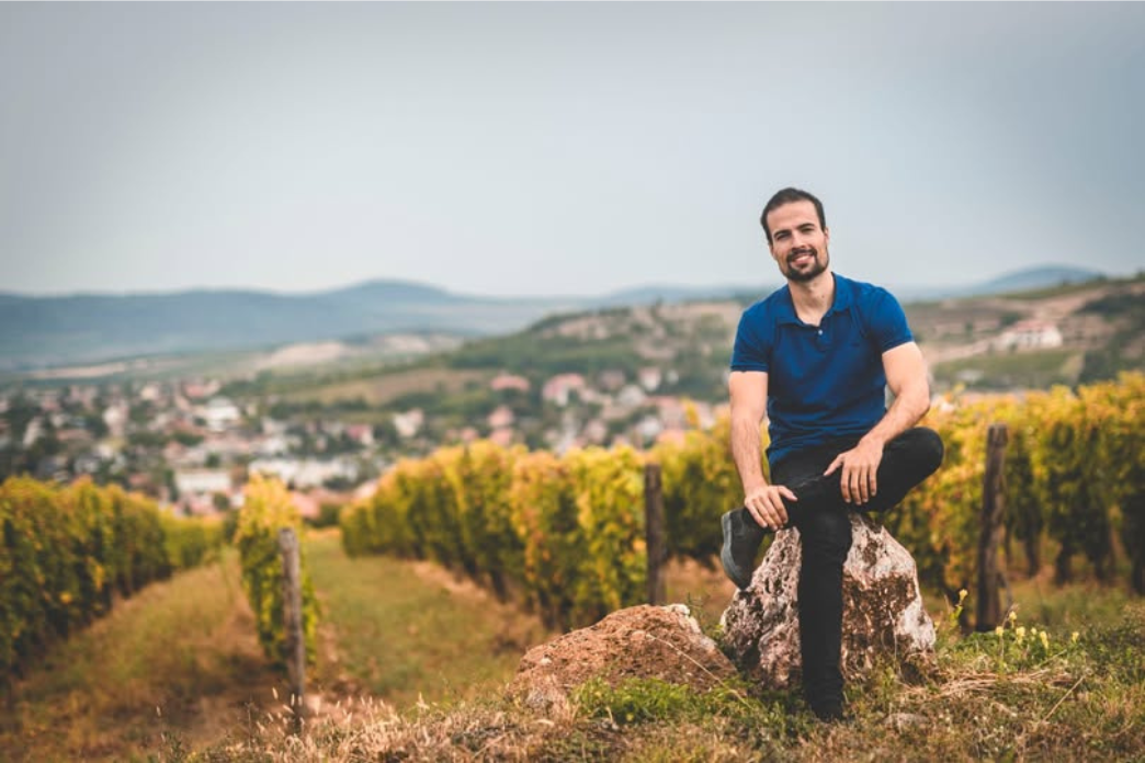 Ripka Gergely: Tokaj Kalauz Guide - A tokaji borvilág kulisszatitkai, friss hírei és ötletek nyári borválasztáshoz